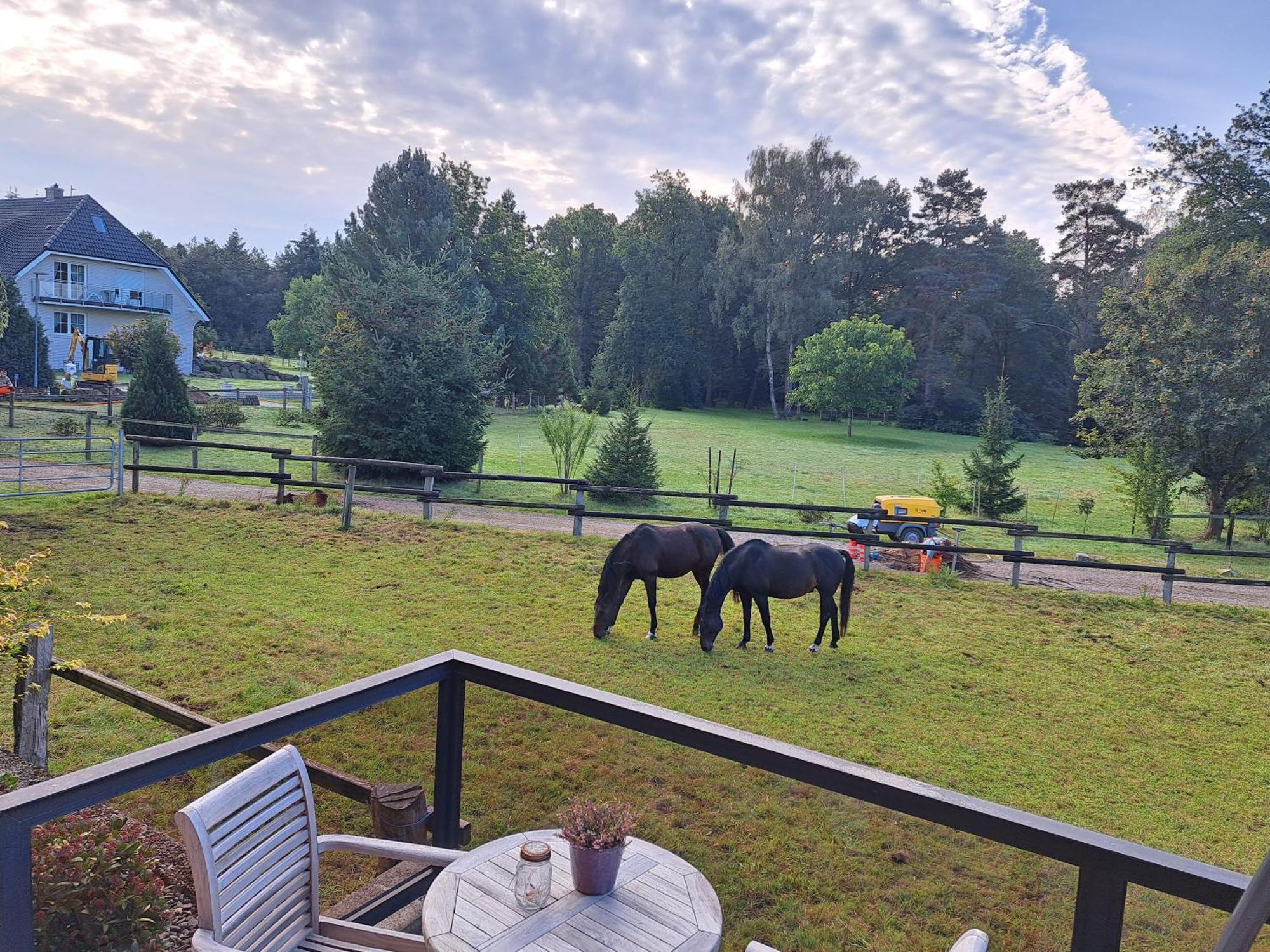 Dat Luette Heidehotel Funk - Garni Bispingen Exterior foto